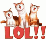 Cats Laughing Pictures, Images and Photos